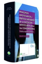 Principios hipotecarios y particularidades de la ejecución hipotecaria sobre los consumidores : práctica registral y procesal