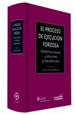 El proceso de ejecución forzosa : problemas actuales y soluciones jurisprudenciales