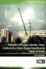 Prevención de riesgos laborales : sector construcción y afines : riesgos específicos del trabajo de gruista