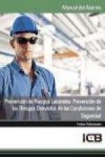 Prevención de riesgos laborales : prevención de los riesgos derivados de las condiciones de seguridad