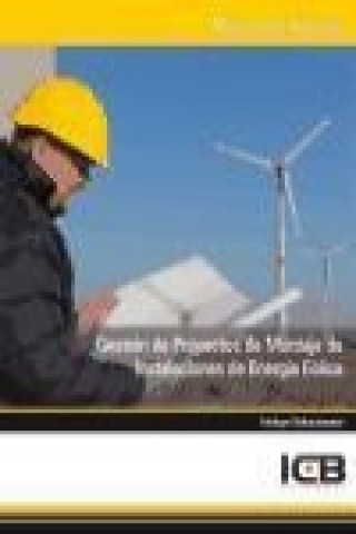 Gestión de proyectos de montaje de instalaciones de energía eólica