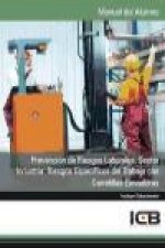 Prevención de riesgos laborales : sector industria : riesgos específicos del trabajo con carretillas elevadoras
