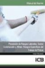Prevención de riesgos laborales : sector construcción y afines : riesgos específicos del trabajo de pintura