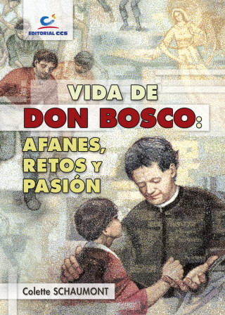 Vida de Don Bosco : afanes, retos y pasión