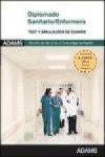 Diplomado Sanitario-Enfermera, Servicio de Salud de la Comunidad de Madrid. Cuestionario