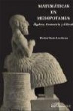 Matemáticas en Mesopotamia : álgebra, geometría y cálculo