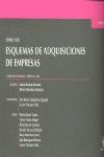 Esquemas de adquisiciones de empresas XXX