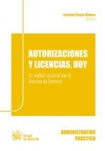 Autorizaciones y licencias, hoy : un análisis sectorial tras la directiva de servicios