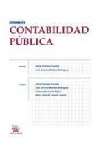 Contabilidad pública