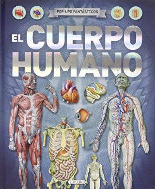 El cuerpo humano