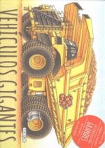 Vehiculos gigantes