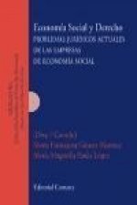 Economía social y derecho : problemas jurídicos actuales de las empresas de economía social