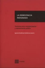 La democracia indignada : tensiones entre voluntad popular y representación política