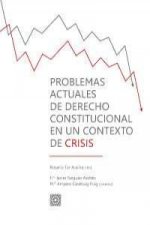 Problemas actuales de derecho constitucional en un contexto de crisis