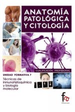 Técnico en inmunohistoquímica y biología molecular