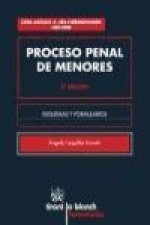 Proceso penal de menores: esquemas y formularios