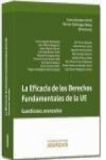 La eficacia de los derechos fundamentales de la UE : cuestiones avanzadas