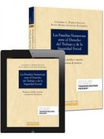 Las familias numerosas ante el Derecho del Trabajo y de la Seguridad Social (Papel + e-book) : Régimen jurídico vigente y propuestas de mejora