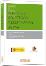 Intereses colectivos y legitimación activa