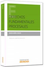 Derechos fundamentales procesales