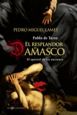 El resplandor de Damasco : Pablo de Tarso, el apóstol de las naciones