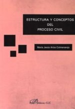 Estructura y conceptos del proceso civil