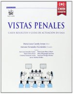 Vistas penales: casos resueltos y guías de actuación en sala