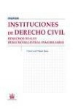 Instituciones de Derecho Civil : Derechos Reales. Derecho Registral Inmobiliario