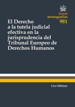 El derecho a la tutela judicial efectiva en la jurisprudencia del Tribunal Europeo de Derechos Humanos