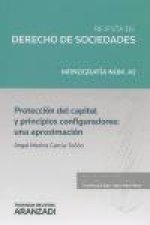 Protección del capital y principios configuradores: Una aproximación