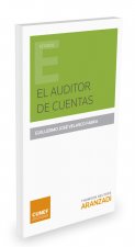 Auditor de cuentas, El