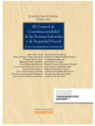Control de constitucionalidad de las normas laborales y de Seguridad Social : 20 casos de jurisprudencia constitucional
