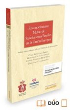Reconocimiento mutuo de resoluciones penales en la Unión Europea (Papel + e-book): Análisis teórico-práctico de la Ley 23/2014, de 20 de noviembre