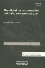 PLURALIDAD RESPONSABLES