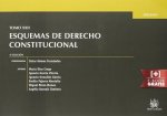 Tomo XXII Esquemas de Derecho Constitucional