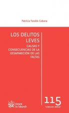 Los Delitos Leves