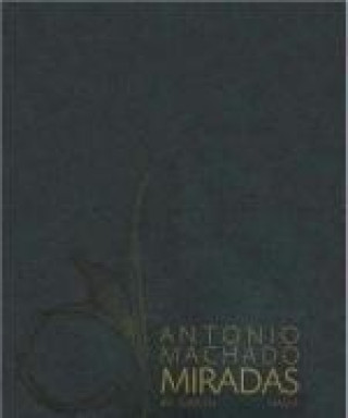 Antonio Machado : miradas