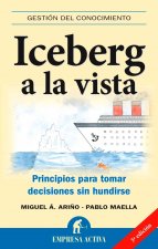 Iceberg a la vista : principios para tomar decisiones sin hundirse