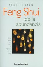 Feng shui de la abundancia : una guía para atraer la riqueza de tu vida