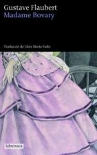 Madame Bovary : costums de província