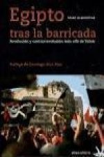 Egipto tras la barricada : revolución y contrarrevolución más allá de Tharir