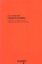 Ciudad de elefantes