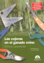 Las cojeras en el ganado ovino : clínica y prevención