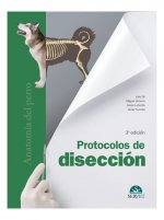 Protocolos de disección