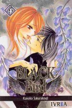 Black bird 04