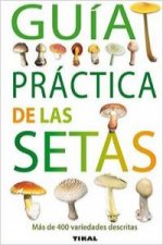 Guía práctica de las setas