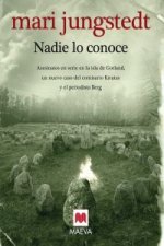 Nadie lo conoce : asesinatos en serie en la isla de Gotland, un nuevo caso del detective Knutas y el periodista Berg