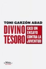 Divino tesoro : casi un ensayo contra la juventud