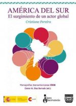 América del Sur : el surgimiento de un actor global