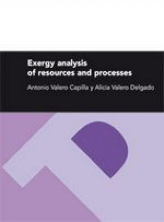 Exergy analysis of resources and processes